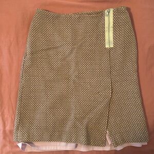 Ann Taylor Petites Skirt